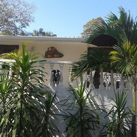 西比克斯豪斯住宿加早餐酒店 Contadora Island 外观 照片